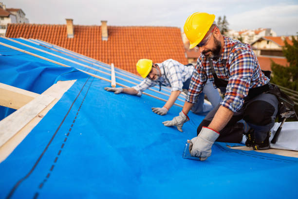 Best Roof Leak Repair  in New Haven, MI