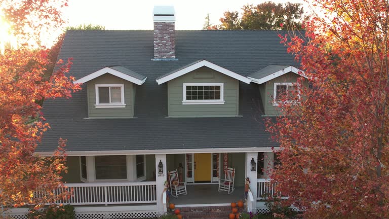 Best Storm Damage Roof Repair  in New Haven, MI