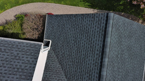 Best Roof Coating and Sealing  in New Haven, MI