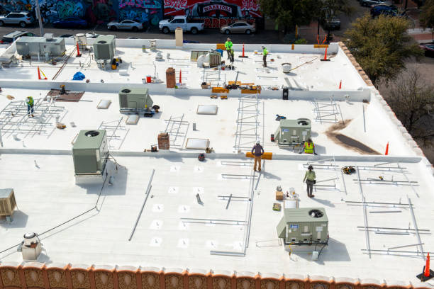 Best Asphalt Shingle Roofing  in New Haven, MI