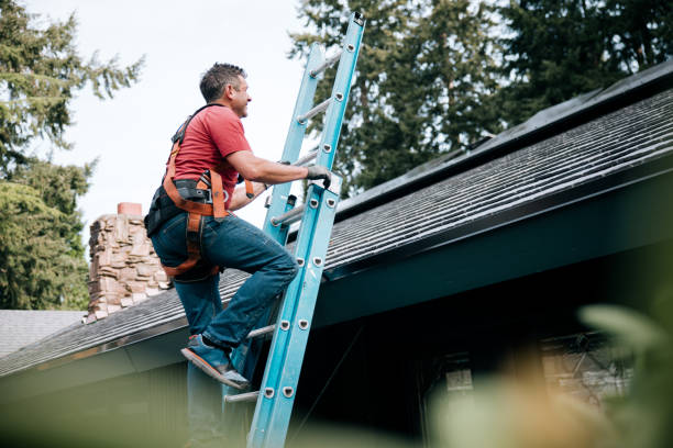 Best Rubber Roofing (EPDM, TPO)  in New Haven, MI