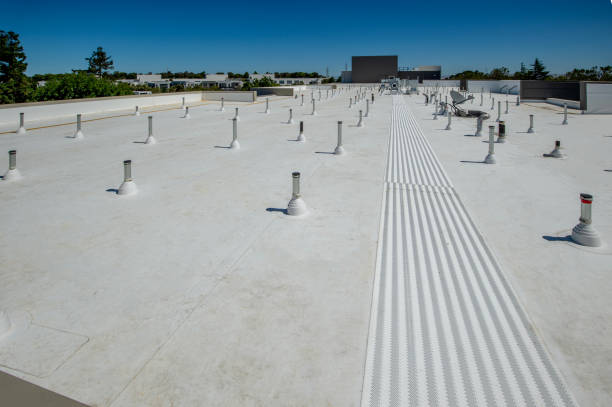 Best Asphalt Shingles Roofing  in New Haven, MI