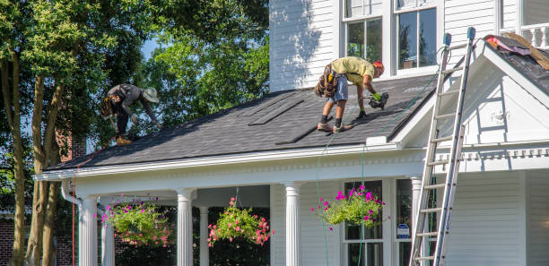 Best Gutter Installation and Repair  in New Haven, MI